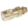 Raccord rapide à fond plat DNP SKVF10T20