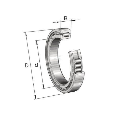 Roulement cylindriques INA/FAG SL182952BC3