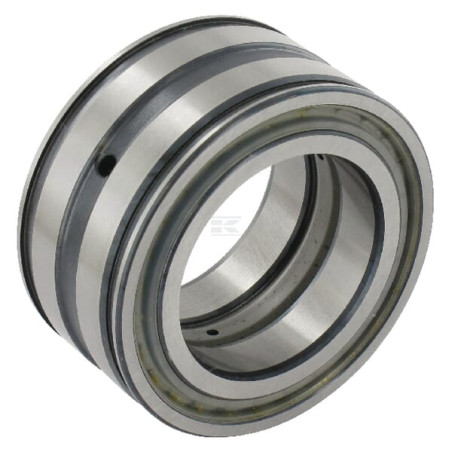 Roulement cylindriques INA/FAG SL045010PP