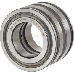 Roulement cylindriques INA/FAG SL045006PP