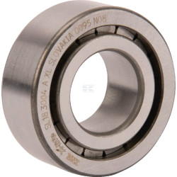 Roulement cylindriques INA/FAG SL183004AXL