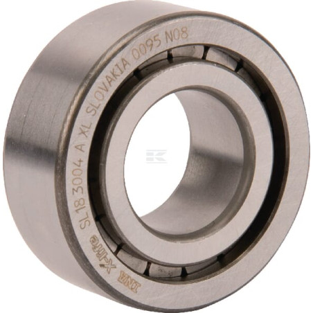 Roulement cylindriques INA/FAG SL183004AXL