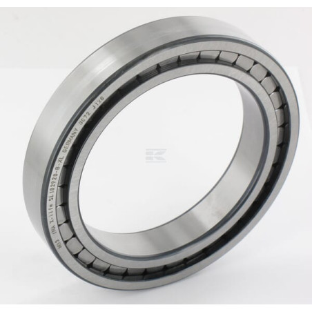 Roulement cylindriques INA/FAG SL182920BXL