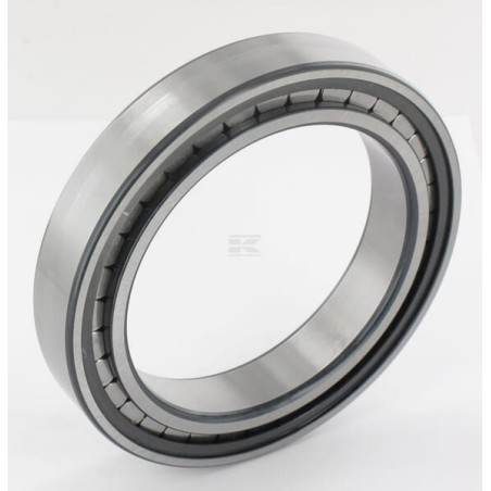 Roulement cylindriques INA/FAG SL182920BXL