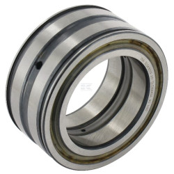 Roulement cylindriques INA/FAG SL045013PP