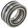 Roulement cylindriques INA/FAG SL045013PP
