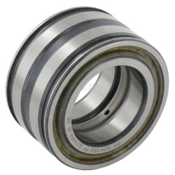 Roulement cylindriques INA/FAG SL045008PP
