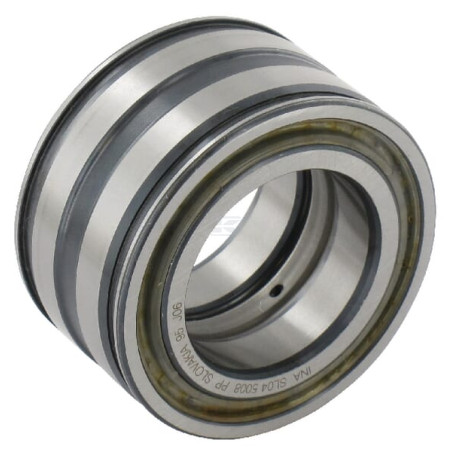 Roulement cylindriques INA/FAG SL045008PP