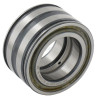 Roulement cylindriques INA/FAG SL045008PP
