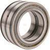 Roulement cylindriques INA/FAG SL045014PP
