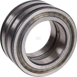 Roulement cylindriques INA/FAG SL045020DPP