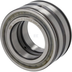 Roulement cylindriques INA/FAG SL045009PP