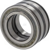 Roulement cylindriques INA/FAG SL045009PP