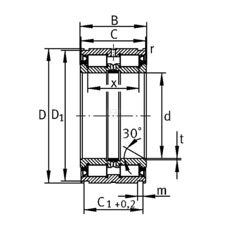 Roulement cylindriques INA/FAG SL045018PP