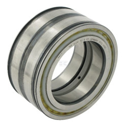 Roulement cylindriques INA/FAG SL045016PP