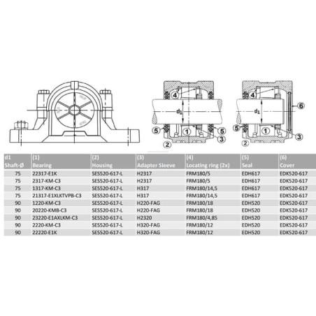 Corps de palier INA/FAG SES520617L