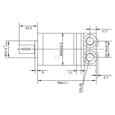 Moteur orbital UNIVERSEL SMM20CPSKR