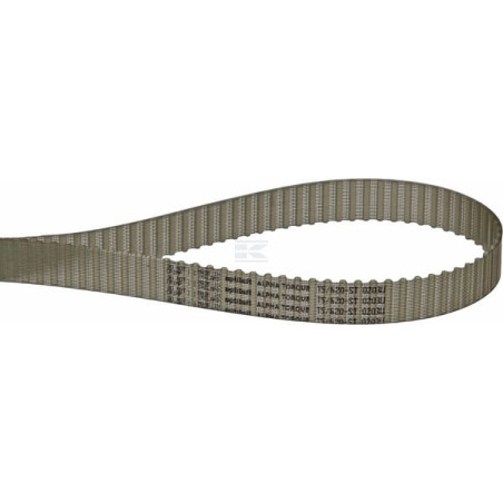 Courroie OPTIBELT T562016