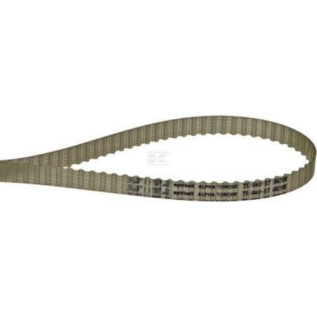 Courroie OPTIBELT T584010