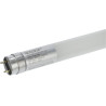 Tube LED LEDVANCE T8EMUO1200865PCP10
