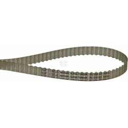 Courroie OPTIBELT T555010