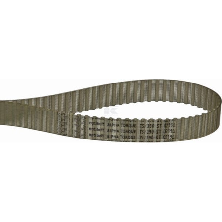 Courroie OPTIBELT T539016