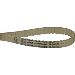 Courroie OPTIBELT T530010
