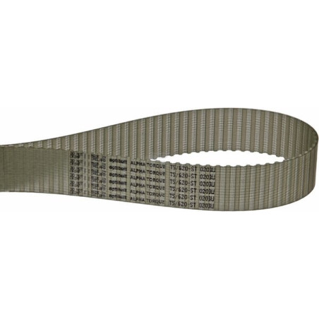 Courroie OPTIBELT T562025