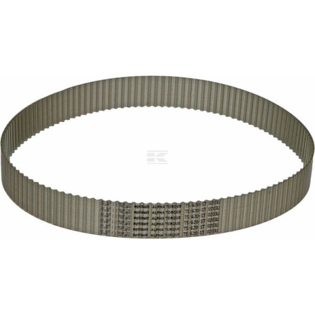 Courroie OPTIBELT T562025