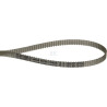 Courroie OPTIBELT T253306
