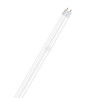 Tube LED LEDVANCE T8EMMS600840PC