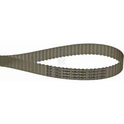 Courroie OPTIBELT T569016
