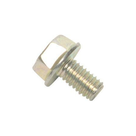 Vis BRIGGS ET STRATTON 841233