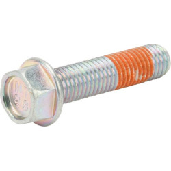 Vis BRIGGS ET STRATTON 799318