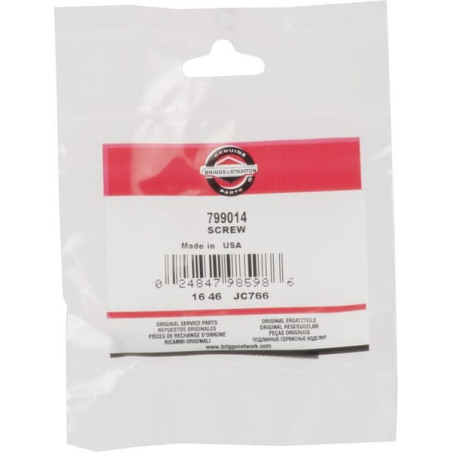 Vis BRIGGS ET STRATTON 799014
