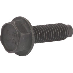 Vis BRIGGS ET STRATTON 794451
