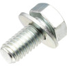 Vis BRIGGS ET STRATTON 791680