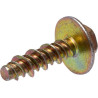 Vis BRIGGS ET STRATTON 790690