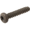 Vis BRIGGS ET STRATTON 594115