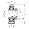 Palier complet SKF SY112FM