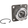 Joint DI NATALE-BERTELLI TC965B
