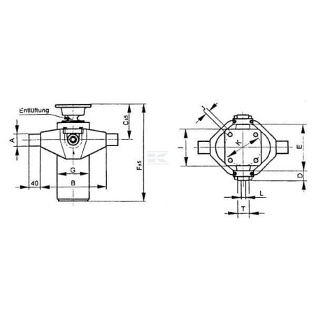 Vérin télescopique WEBER TC6012WEB