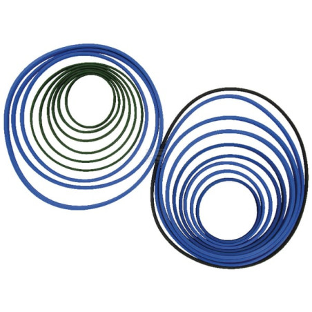 Jeu de joints DI NATALE-BERTELLI TC99009