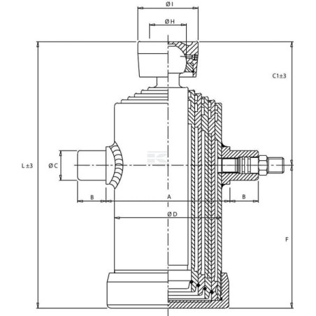 Verin DI NATALE-BERTELLI TC5034