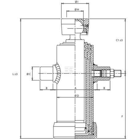 Verin DI NATALE-BERTELLI TC2034