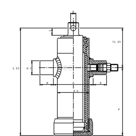 Verin DI NATALE-BERTELLI TC3023F