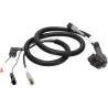 Faisceau de câble TEEJET TJT4510232