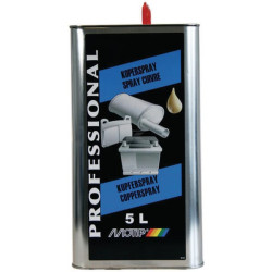 Spray cuivre MOTIP V05561