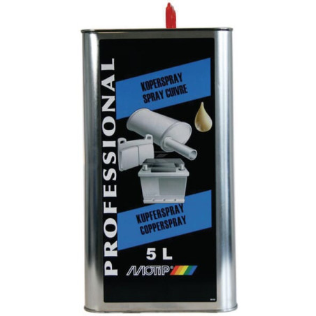Spray cuivre MOTIP V05561