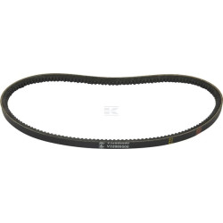 Courroie MASSEY FERGUSON (AGCO) V32889500